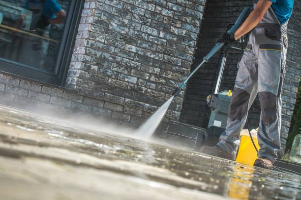 Best Roof Washing  in Lockport, NY