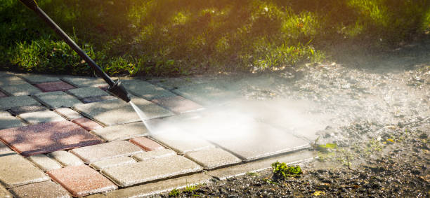 Best Dumpster Area Cleaning  in Lockport, NY